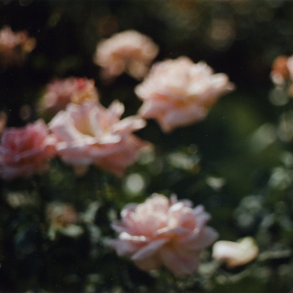mike naideau: "Songs From July-January, 2008-2009"